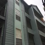 Treehouse Exterior Painting